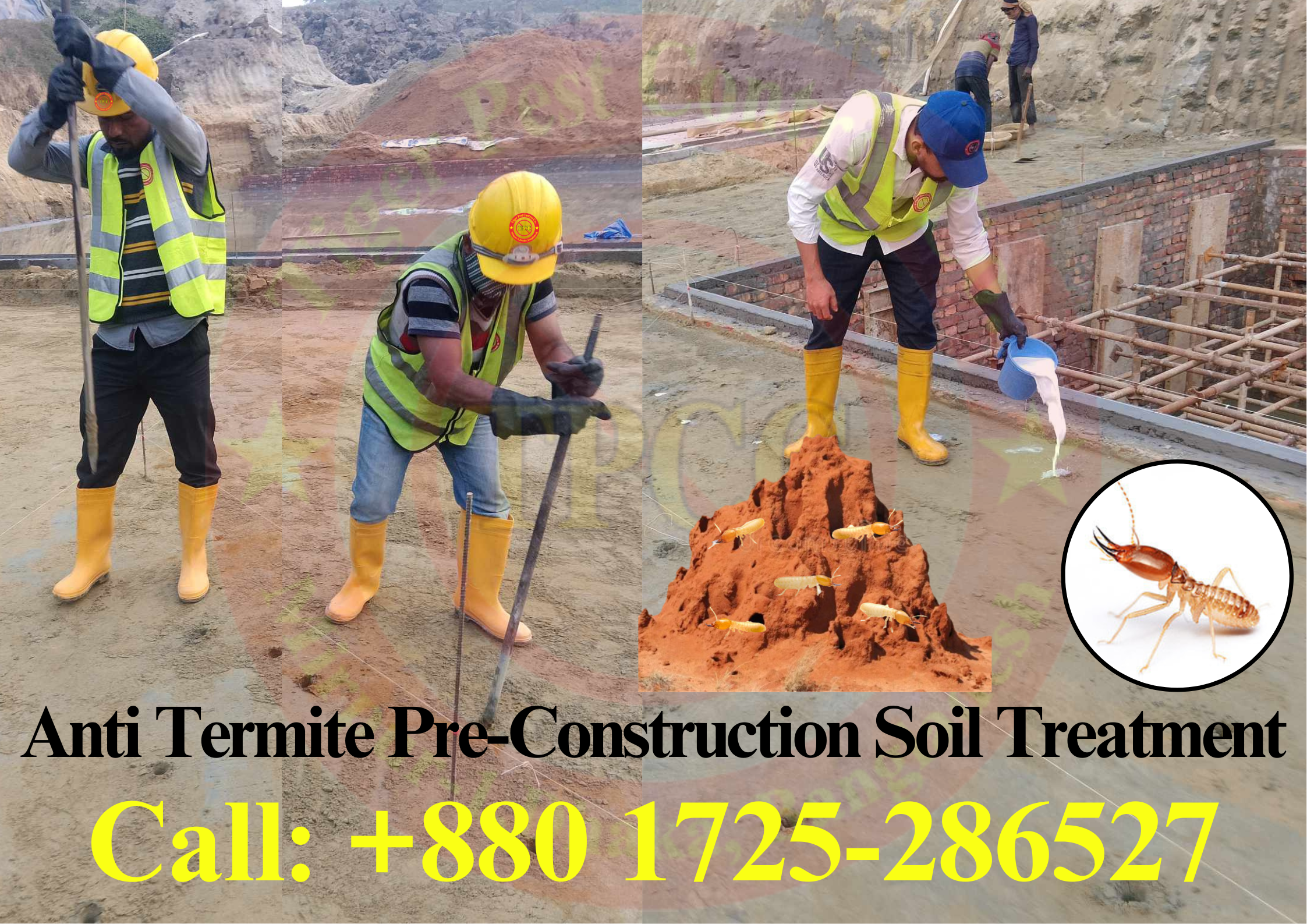 Anti Termite Control Service