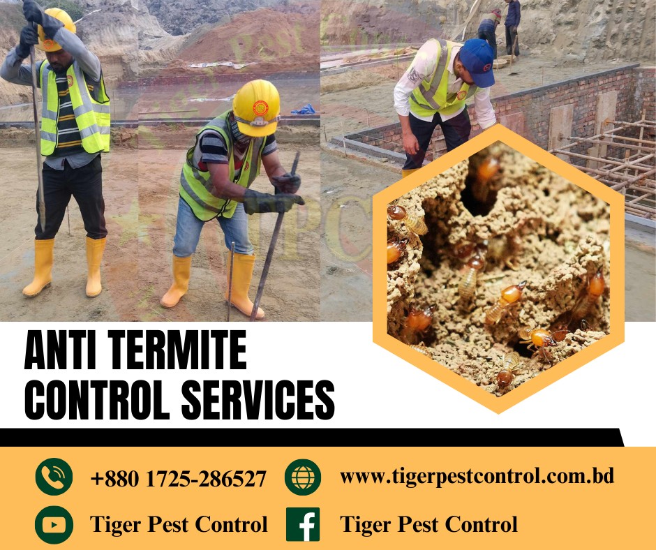 Termite Control