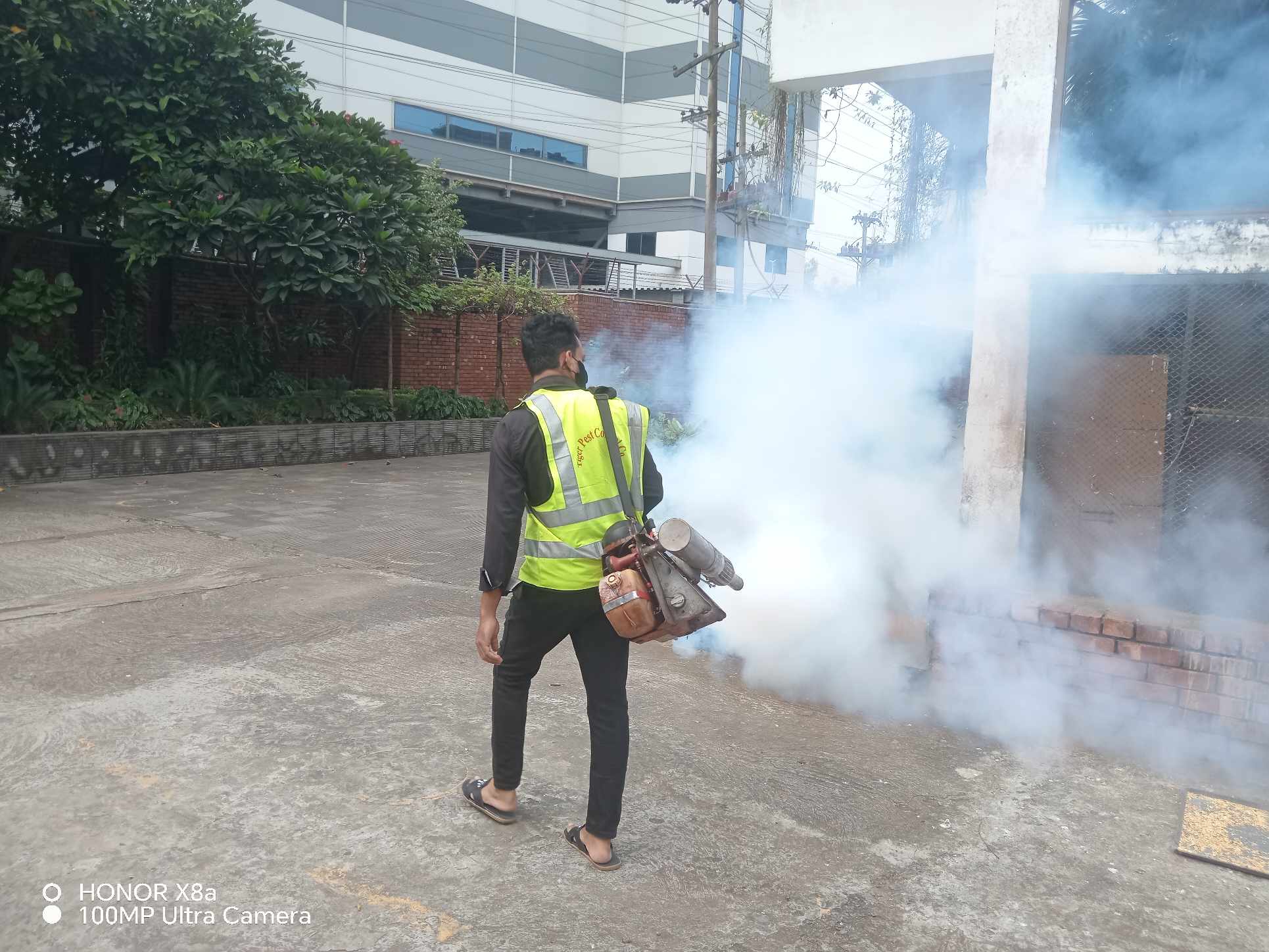 Mosquito Control Service