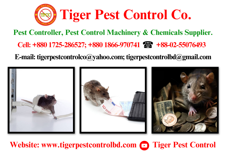 Rat Control Service