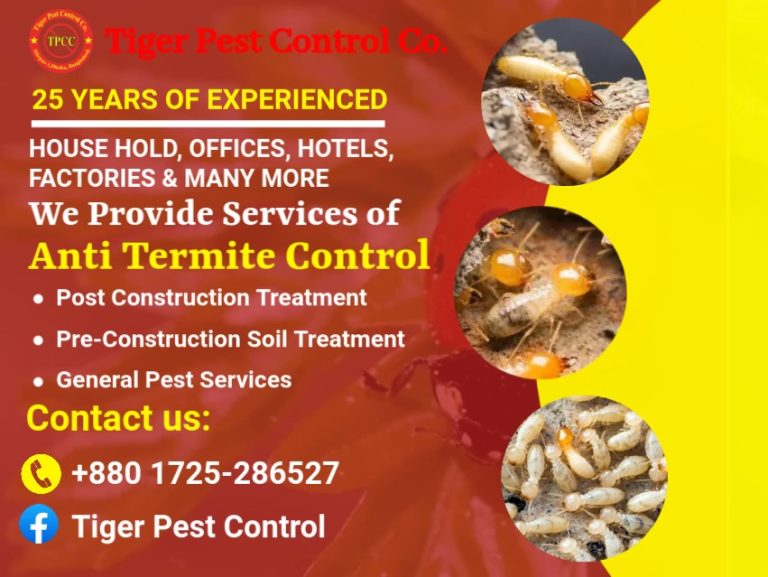 Termite Control Service