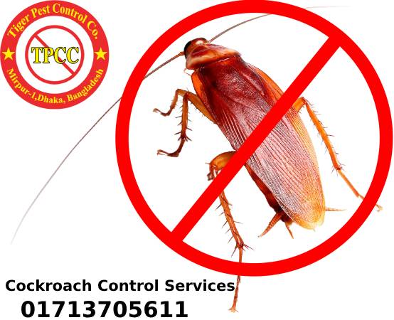 Cockroach Control In BD
