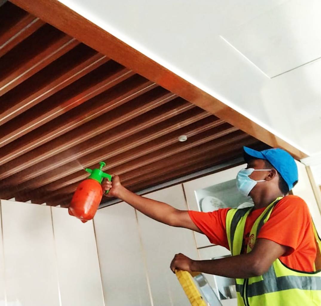 termite control in BD