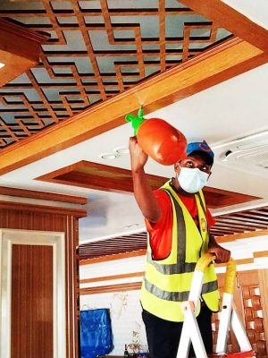 Termite Control Service BD
