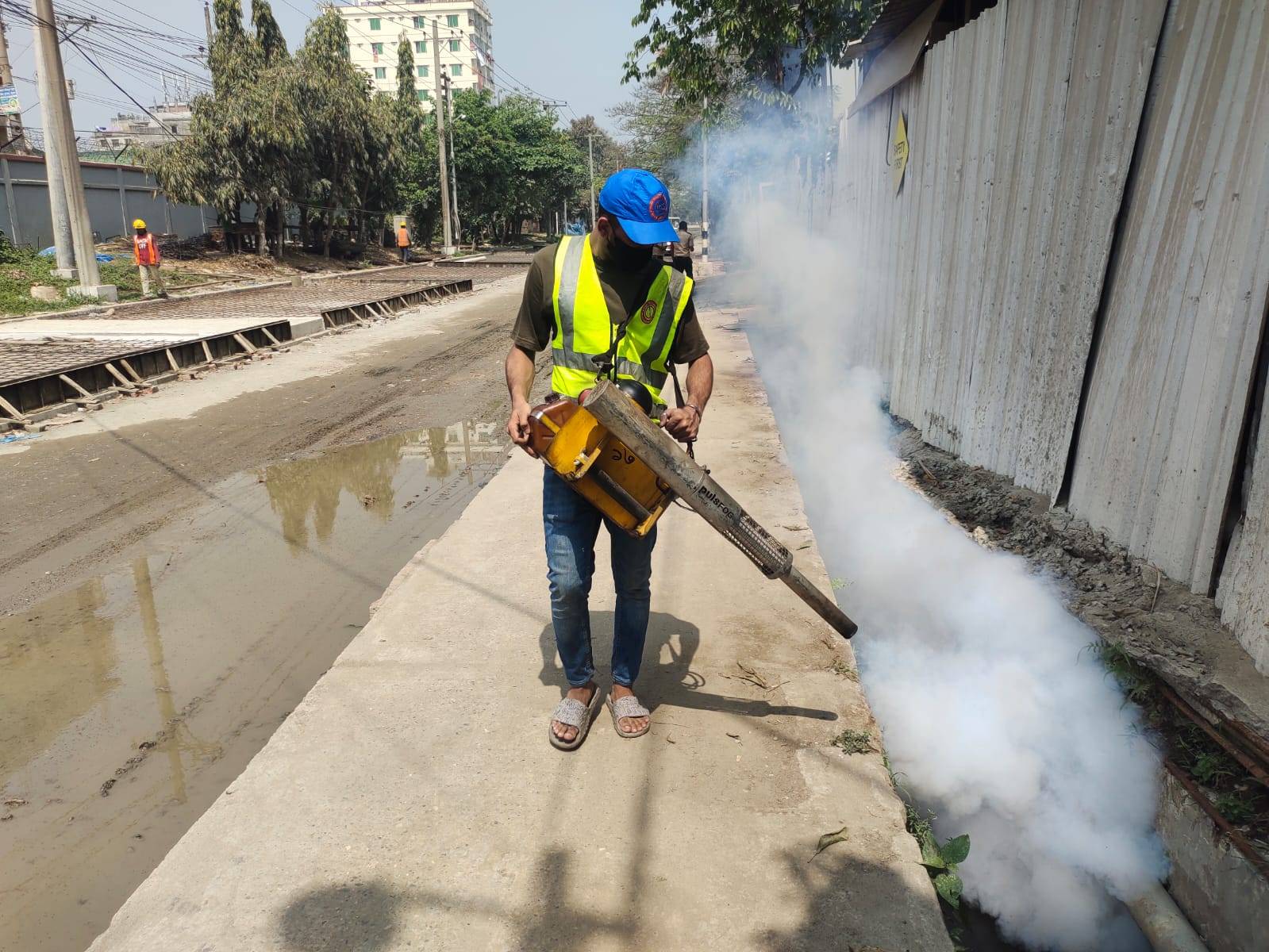 termite control Bangladesh