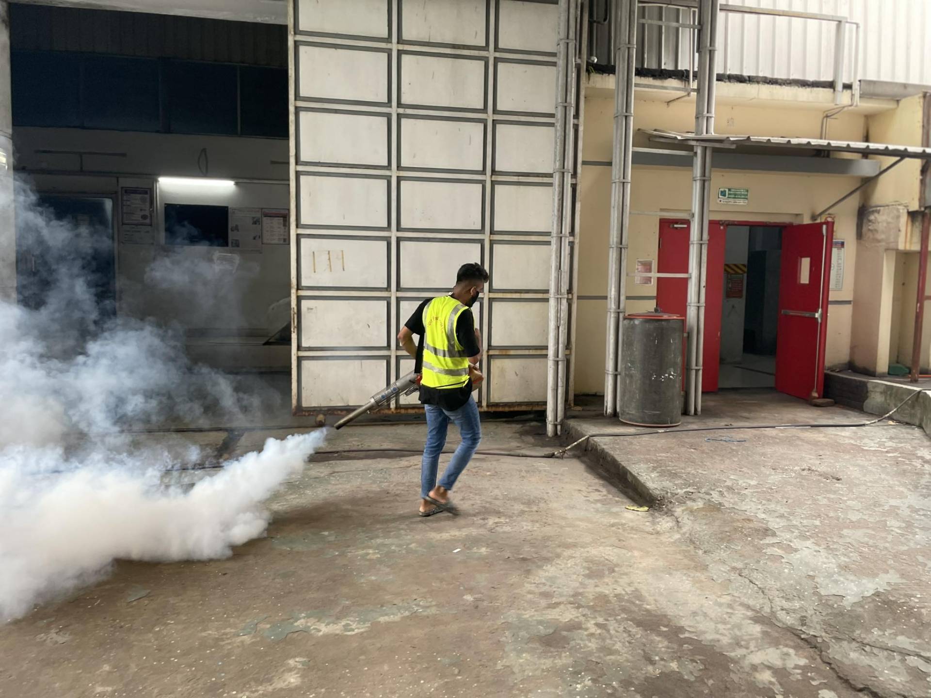 termite control Bangladesh