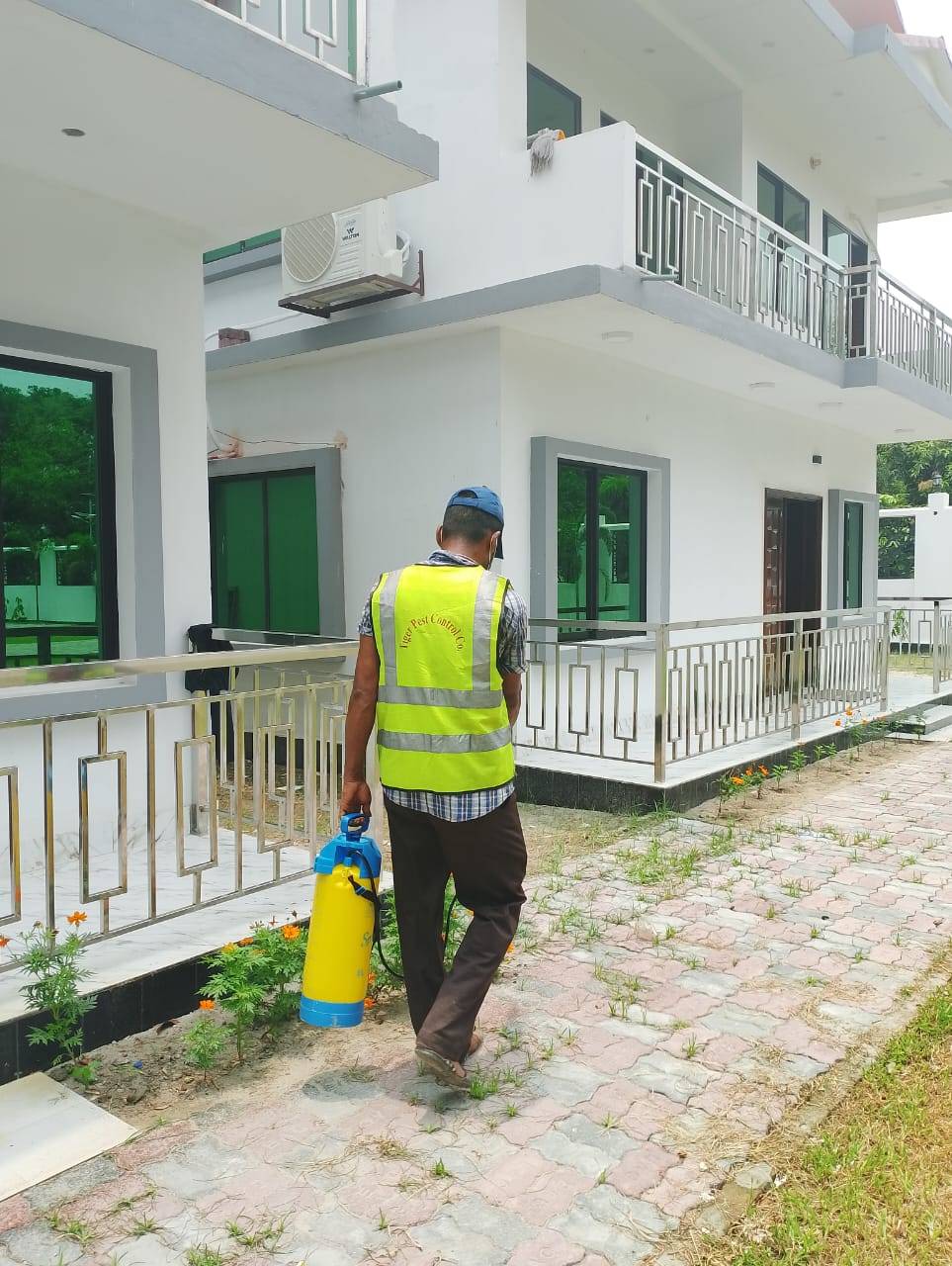 termite control Bangladesh