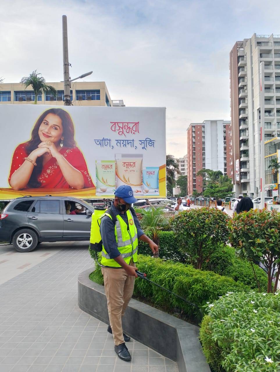termite control Bangladesh